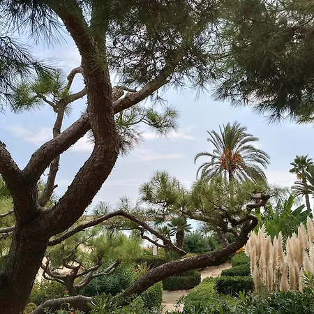 Lluna Bara Holiday home Roda de Bera